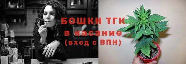 тгк Богородск